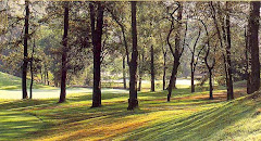 2001, Bosques Santa Fe