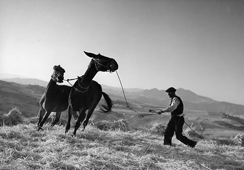 gotthard schuh