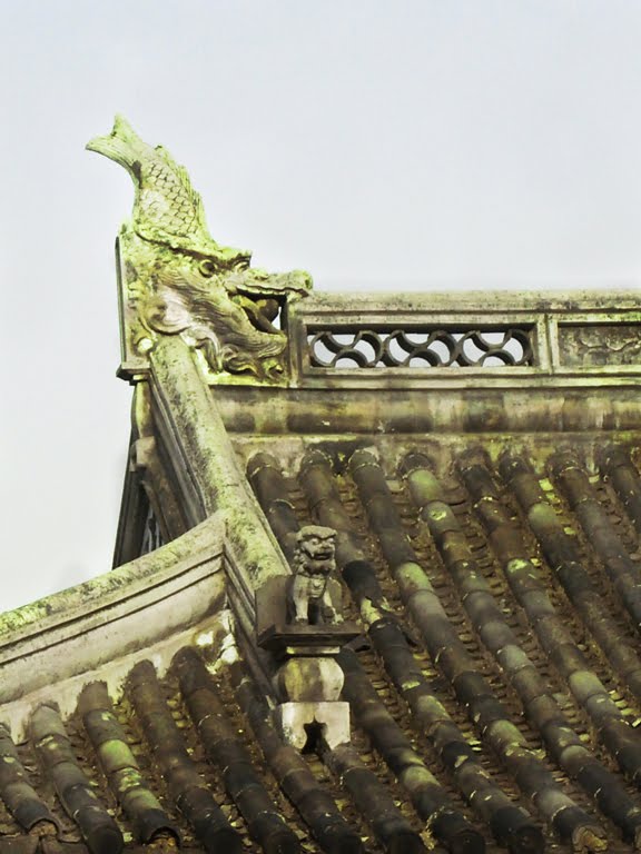 A baby lion clinging to its