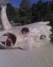 here is all three kids in the dino park playground peeking out the different holes!!!!!