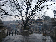 Pashupati