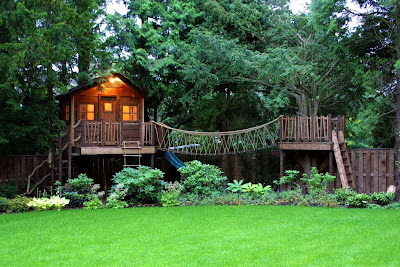 Amazon+Tree+House+S4.jpg