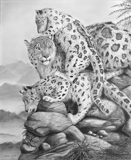 snow leopard mother and cubs charcoal drawing
