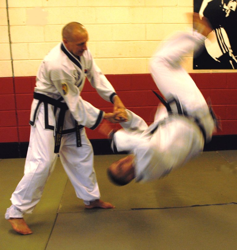 Shorin Karate Masters Karate for Adults