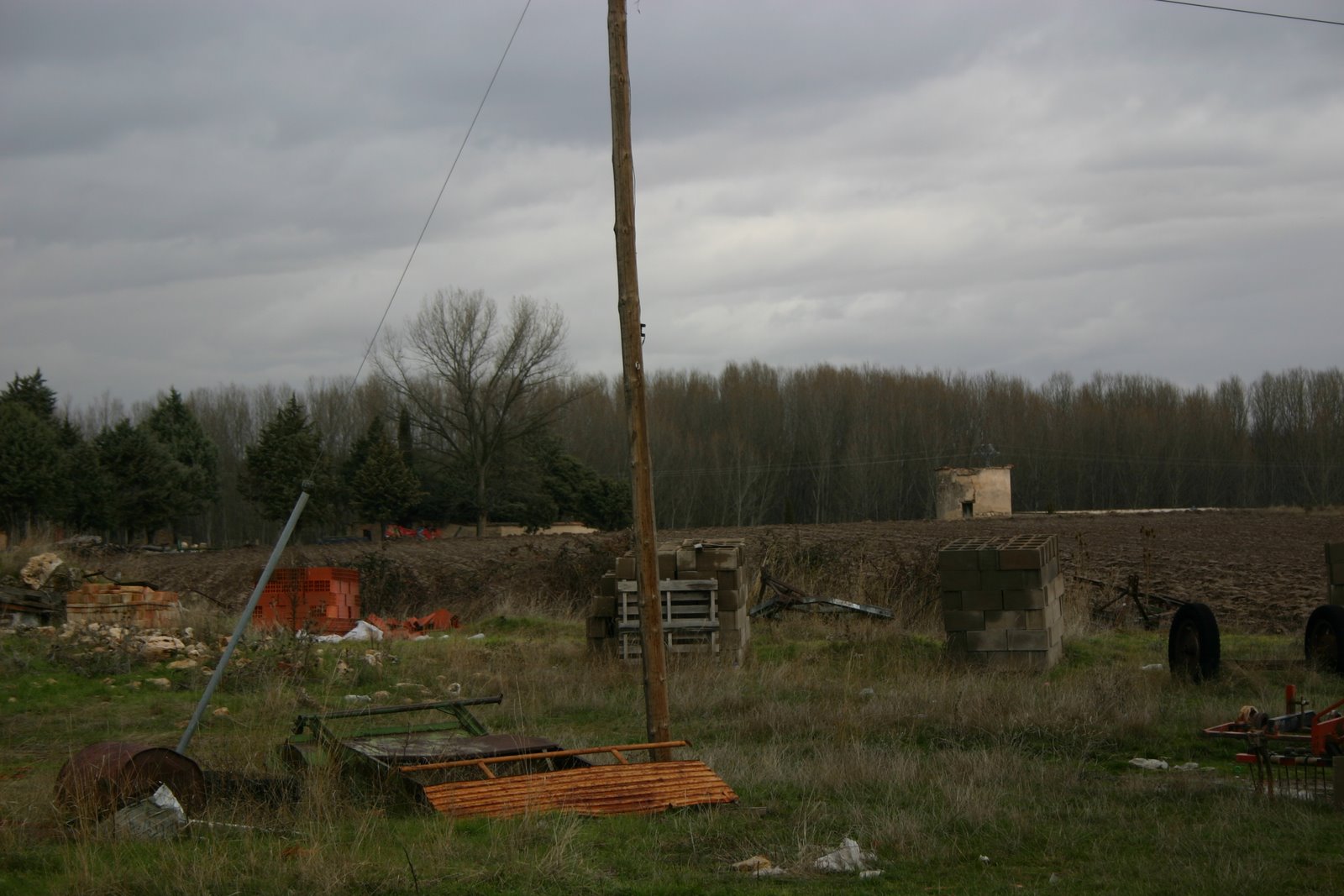 [IMG_3923.JPG]