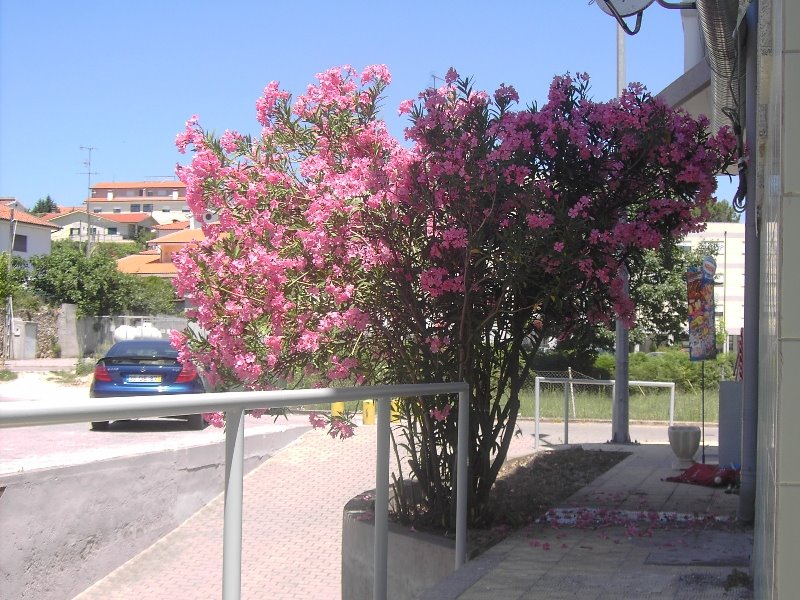 [PICT0008.JPG]