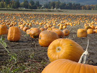 My High School Year Abroad Mai 2014