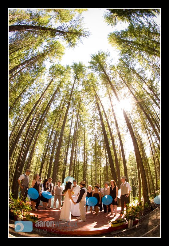 ... some amazing weddings in th...