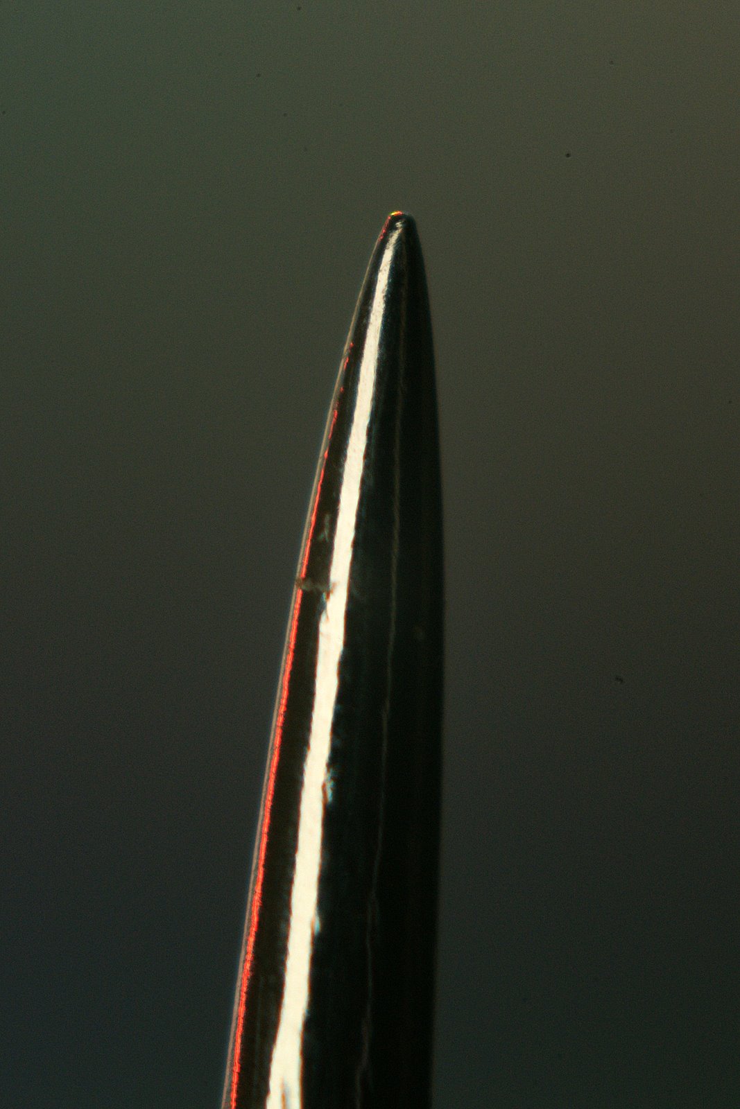 [DSC01247.JPG]