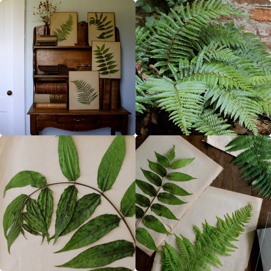 Bird on a Wire: DIY Framed Wall Art