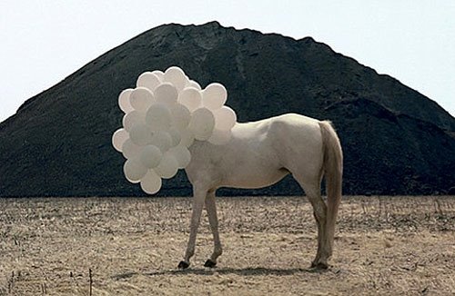 [iChat+Image(4094952829).jpeg]