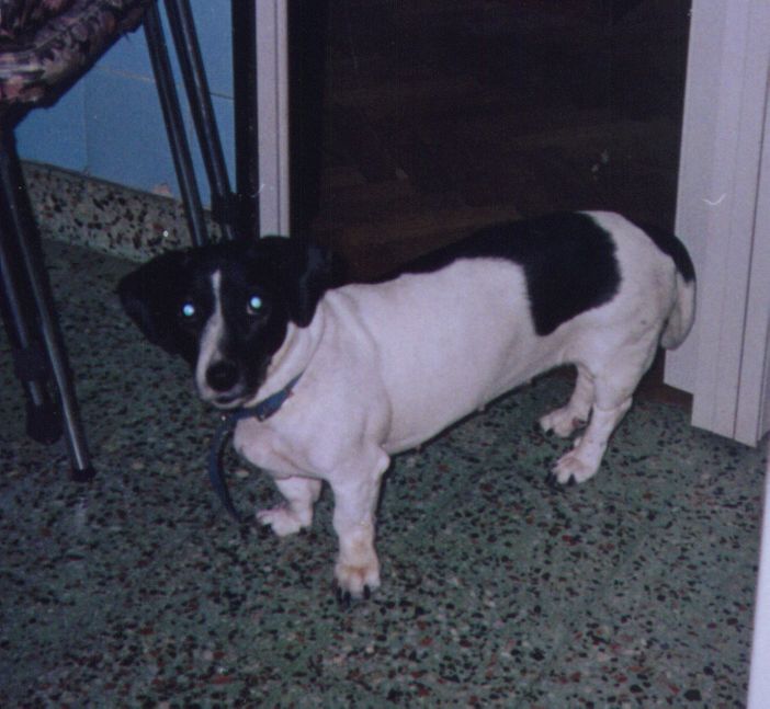 [mini+en+la+cocina.jpg]