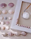 [Shell+Projects2.bmp]