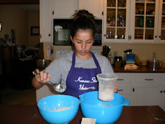 Chocolate Angel Food Cake