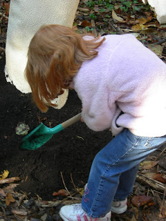 siting+Grove+at+Carpenters+Woods+032