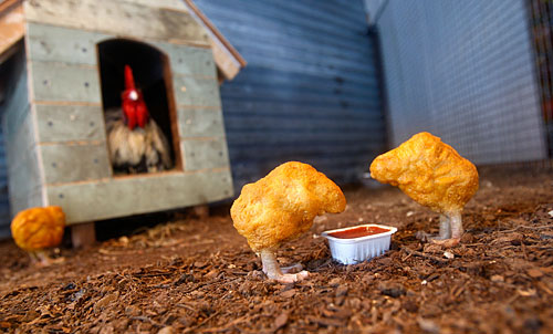 The nuggets on baking sheet nugget recipe Bya recipe is exactly how fast The nuggets on baking sheet nugget recipe Bya recipe is exactly how fast