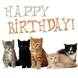 HappyBirthdayCats123.jpg