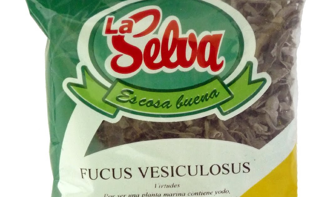 Hierbas Medicinales y Yerba Mate: FUCUS. Adelgazante natural Hierbas Medicinales y Yerba Mate: FUCUS. Adelgazante natural