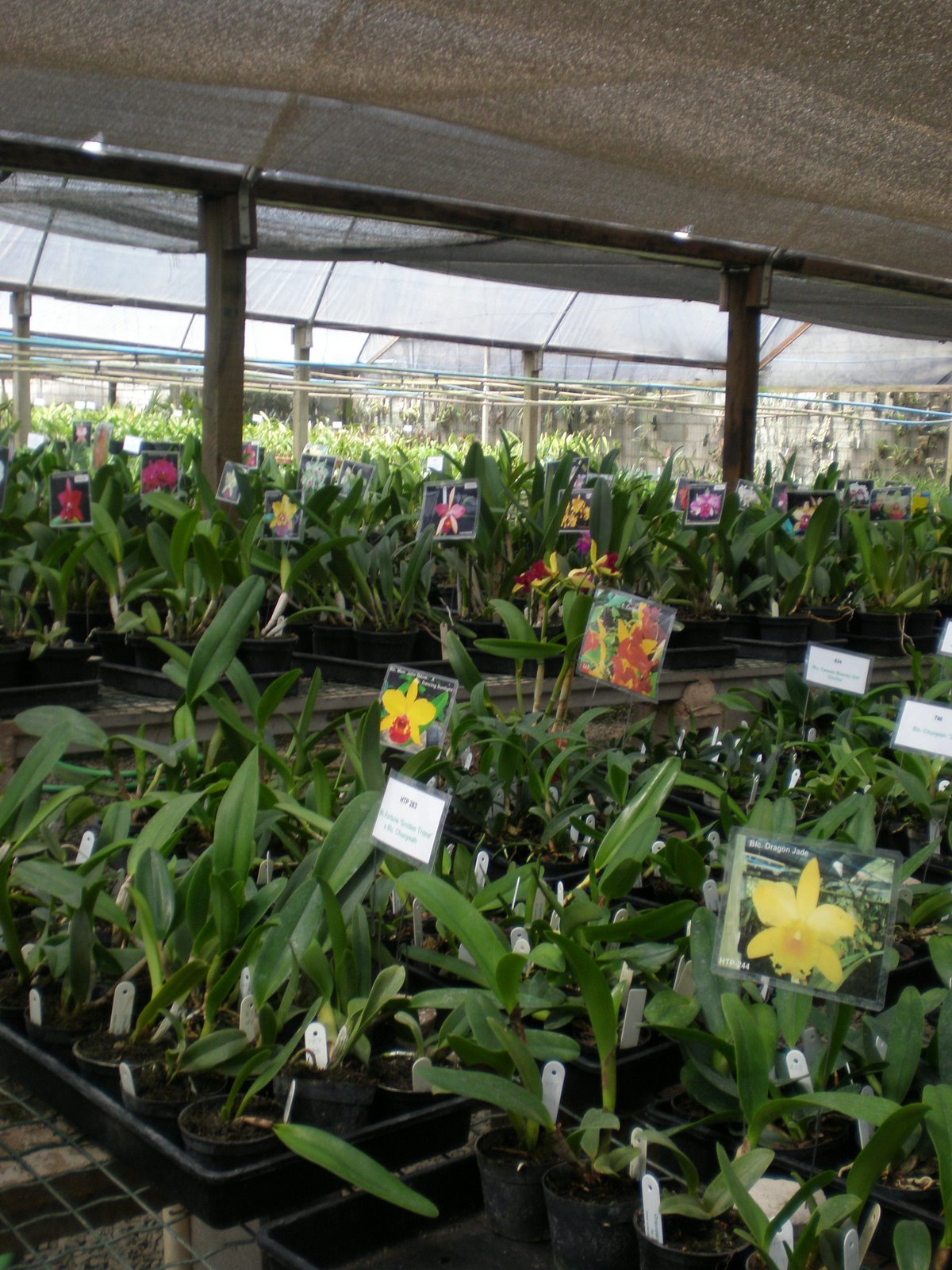 [P1230021.JPG]