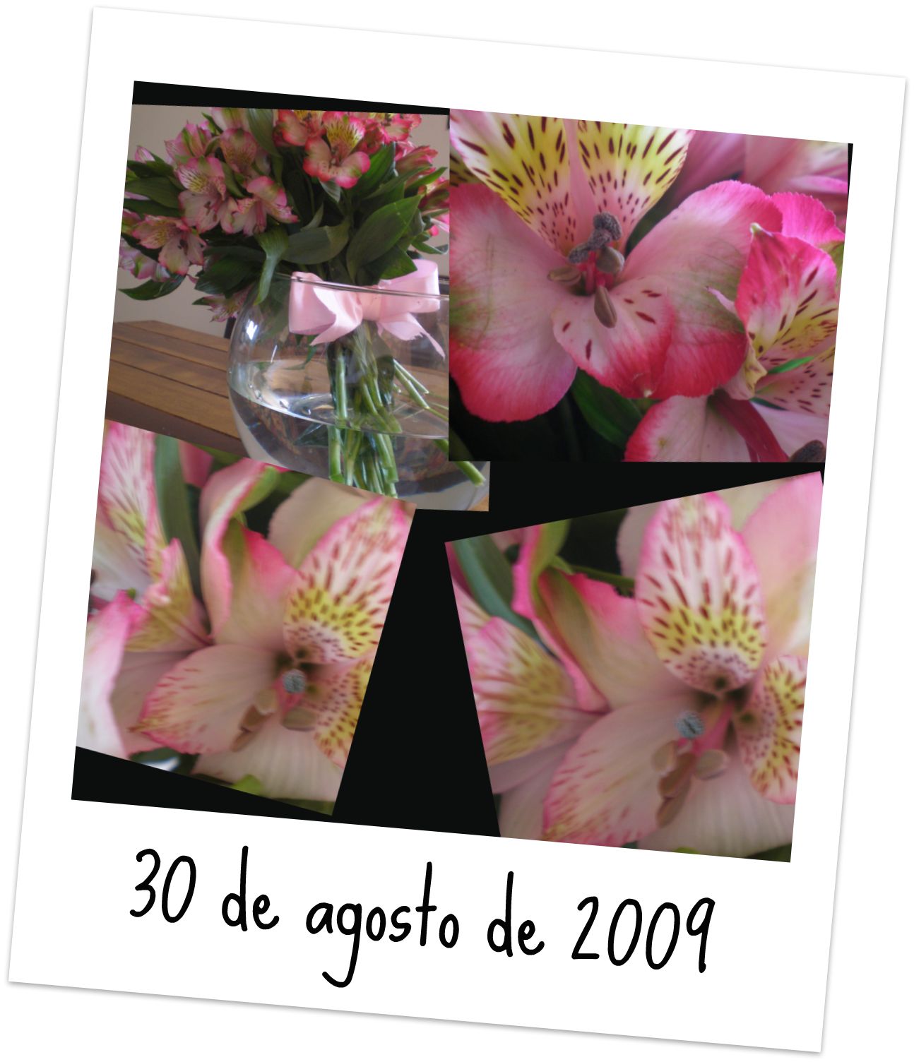 [Colagem+do+Picnik.jpg]