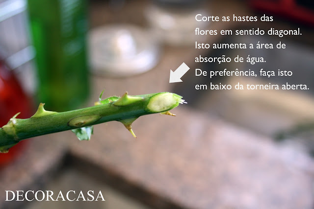 flor durar mais