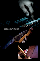 Email: beauvoix@live.com