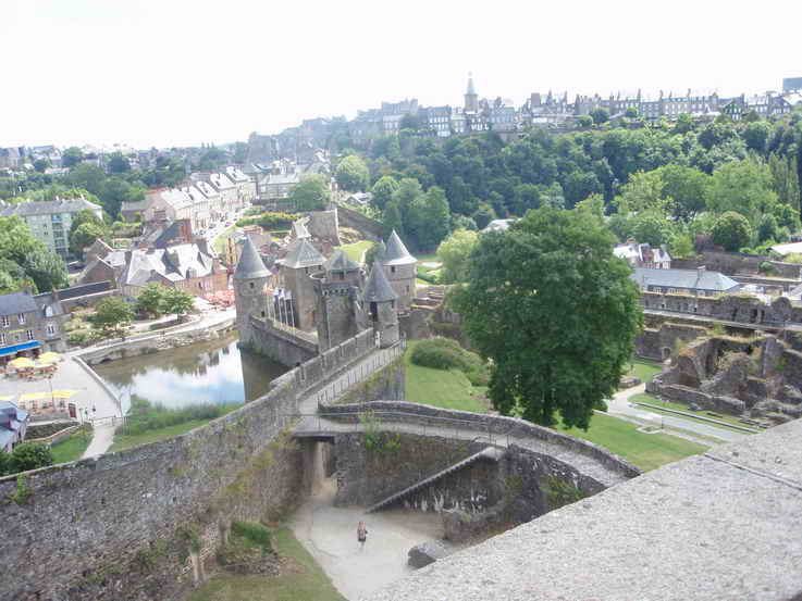 [fougeres3.jpg]