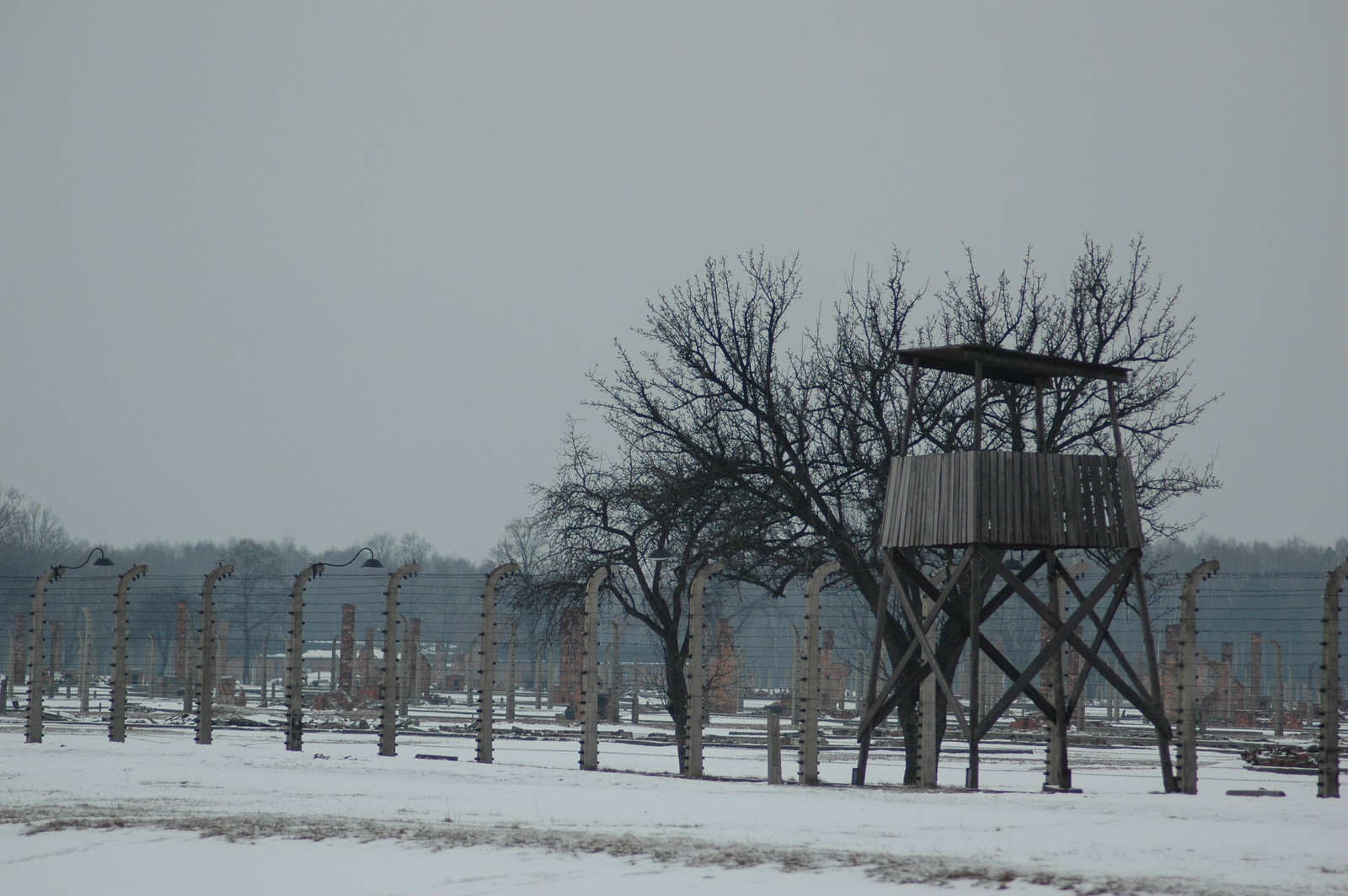 [Auschwitz_tower.png]