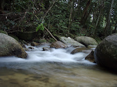 sungai