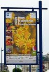 The poster for the show. It promised flavours so we couldn't say no! Horticultural show - Flowers and Flavours - Fleurs et Saveurs