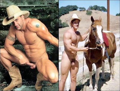 finding a gay mentor lesbain shemales videos