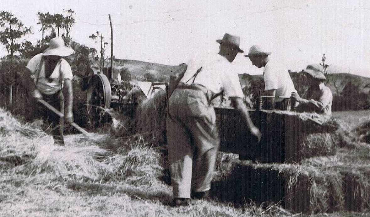 [Causer+Early+Hay+Baling-1.jpg]