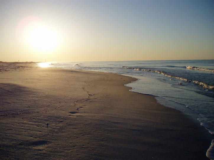 The Unofficial Craig's List about Cats and More