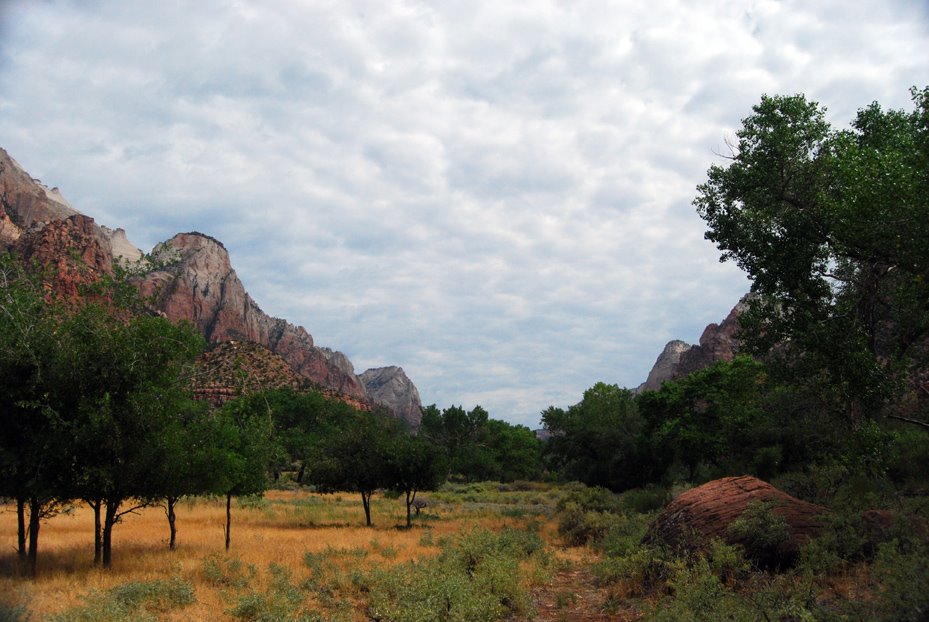 [Intrepid_Traveling_8_08ZION_3]