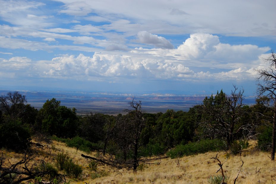 [Intrepid_Traveling_8_08RAINBOW_LAVA_PLATEAU]