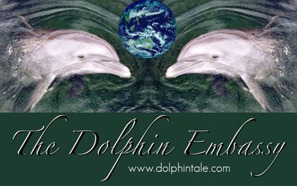 The Dolphin Embassy Times