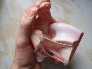 The knuckle end of a beef shin bone