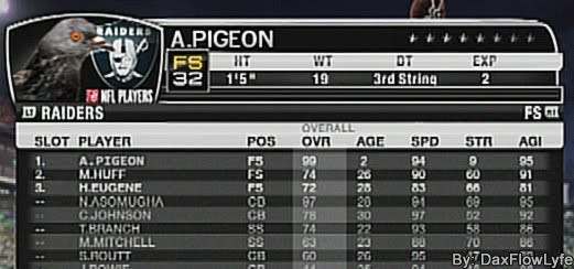 [Raiders+pigeon.jpg]