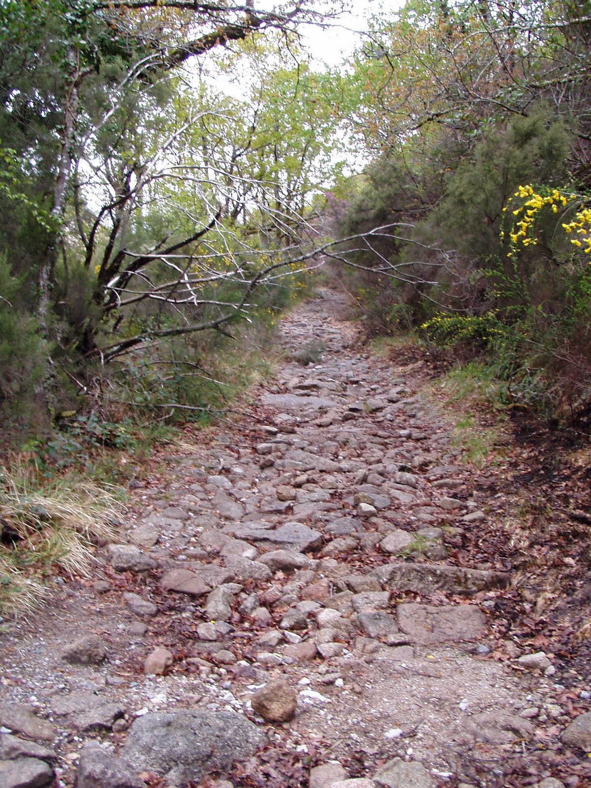 [P1010051.JPG]