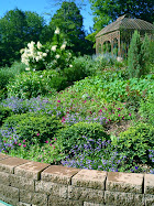 Slope with Retaining Wall