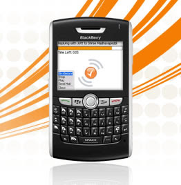 Voice Options for Blackberry Blackberry mobile