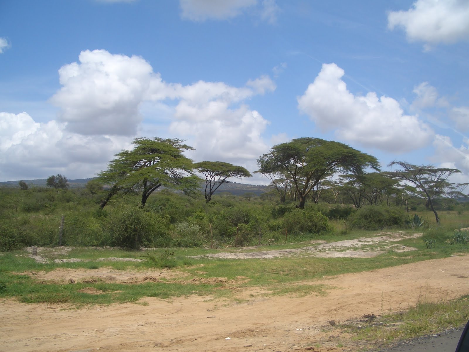 external image CIMG2198.JPG