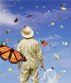 [caÃ§adorde+borboletas.bmp]