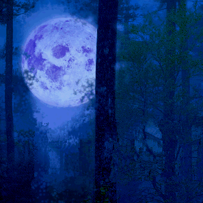 [night.gif]