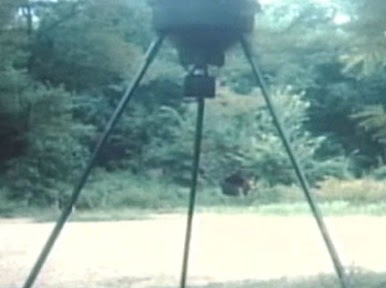 Fotos y video de pie grande en Kentucky - 2009 ~ ElGonzi.com