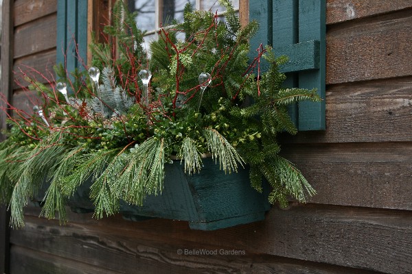 Sixty Fifth Avenue Winter Window Boxes