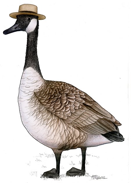 goose hats
