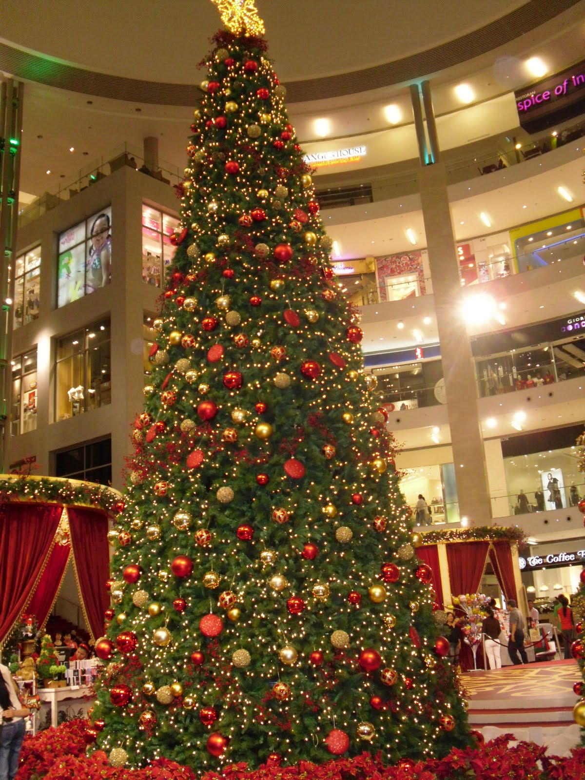 [SDC10202.JPG]
