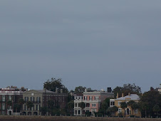 Views from our boat in Charleston harbor cruise