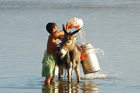 Água fonte de vida